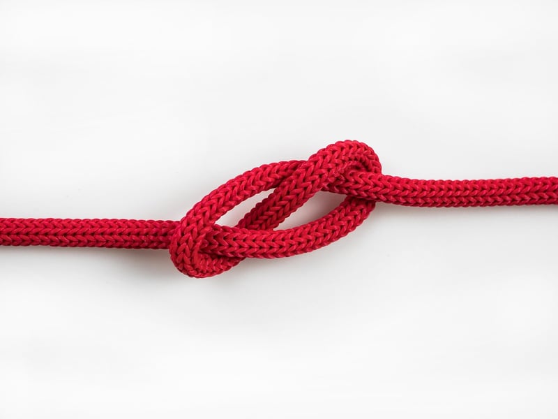 Causal Loop Conundrums